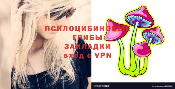 гашиш Няндома