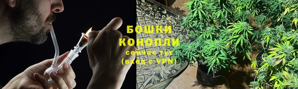 гидропоника Нязепетровск